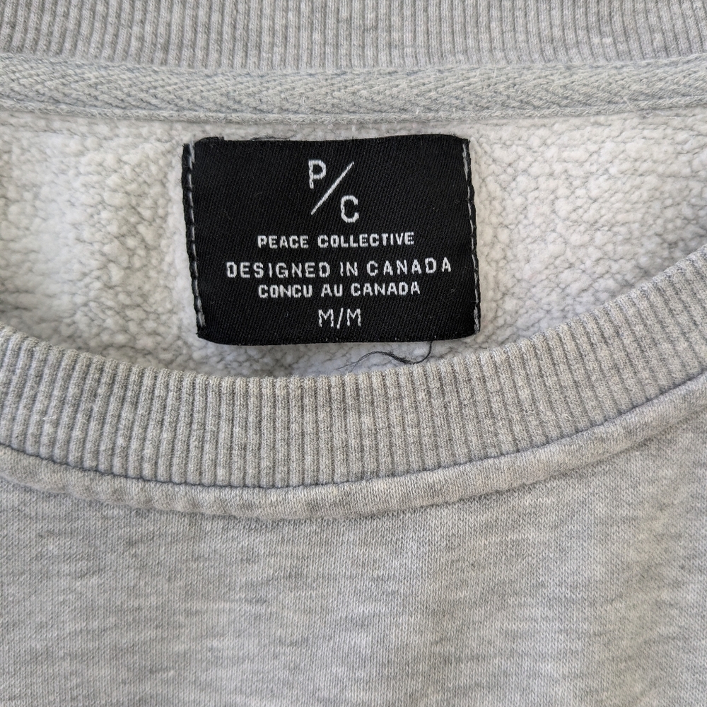 Peace Collective Raptors Crewneck - Picture 6 of 7